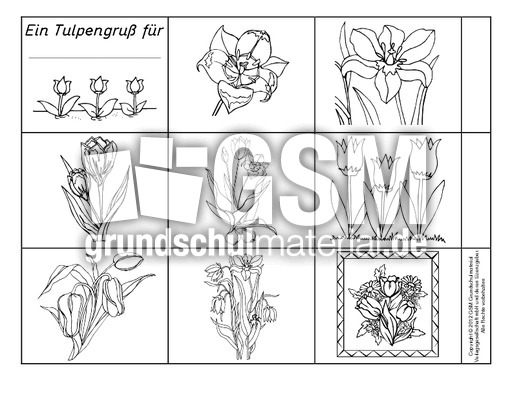 Tulpen-Leporello.pdf